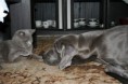 /album/fotogaleria-doma/img-3771-jpg/