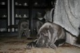 /album/fotogaleria-doma/img-3778-jpg/