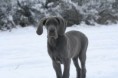 /album/na-prechadzke/img-4004-jpg/