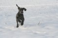 /album/na-prechadzke/img-3969-jpg/