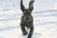 /album/na-prechadzke/img-3987-jpg/