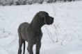 /album/na-prechadzke/img-3996-jpg/