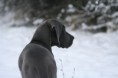 /album/na-prechadzke/img-4012-jpg/