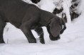 /album/na-prechadzke/img-4022-jpg/