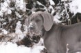 /album/na-prechadzke/img-4030-jpg/