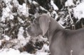 /album/na-prechadzke/img-4032-jpg/